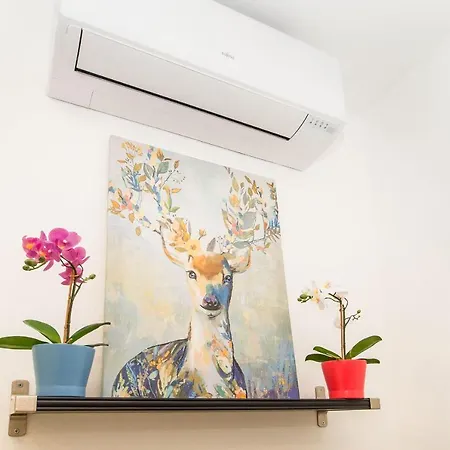 Piazza Bengasi Cozy 公寓 都灵